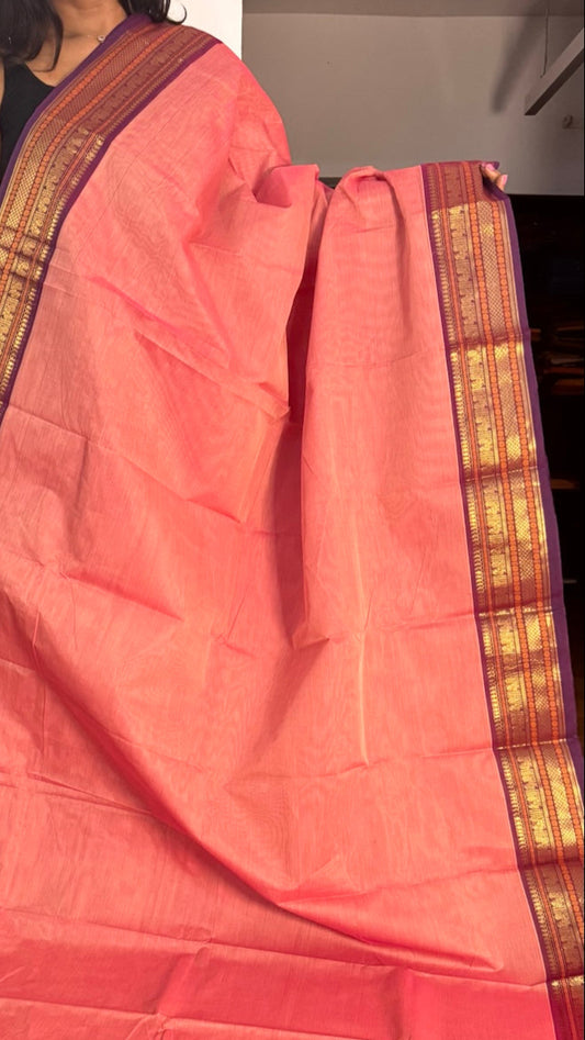 Salmon with Purple colour border Chettnadu Saree