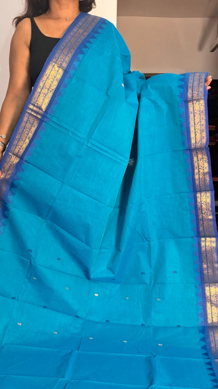Light Blue Chettinadu Saree