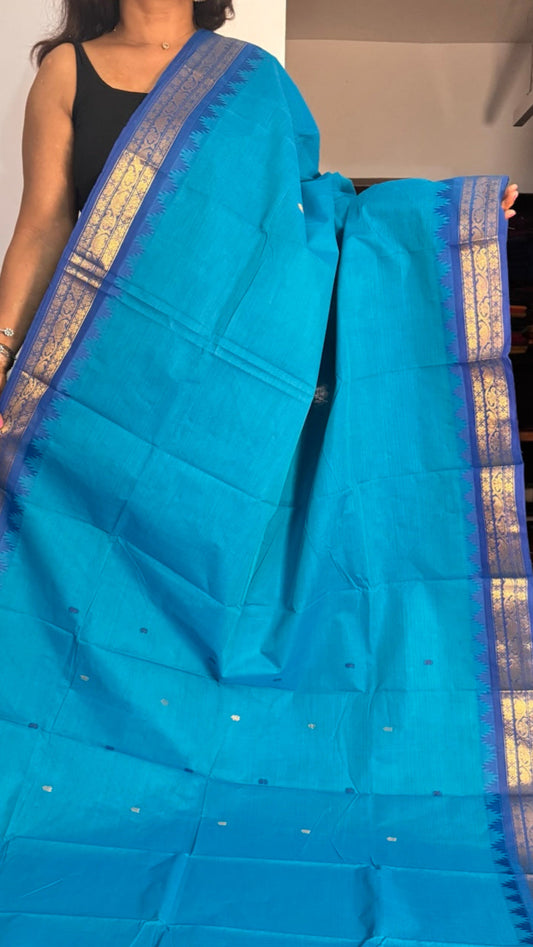 Light Blue Chettinadu Saree