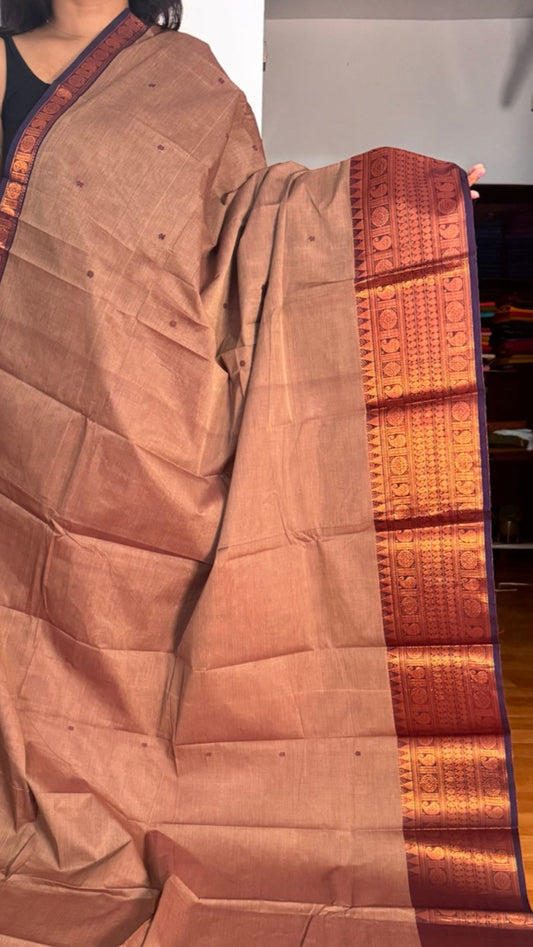 Dark Beige Big Border Chettinadu Saree