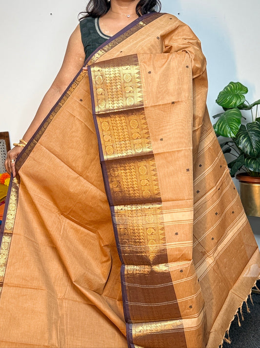 Khaki big border Chettinadu Saree