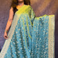 Light Blue Banarasi Katan Silk Saree